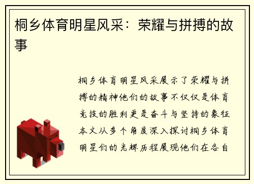 桐乡体育明星风采：荣耀与拼搏的故事